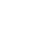 IE University